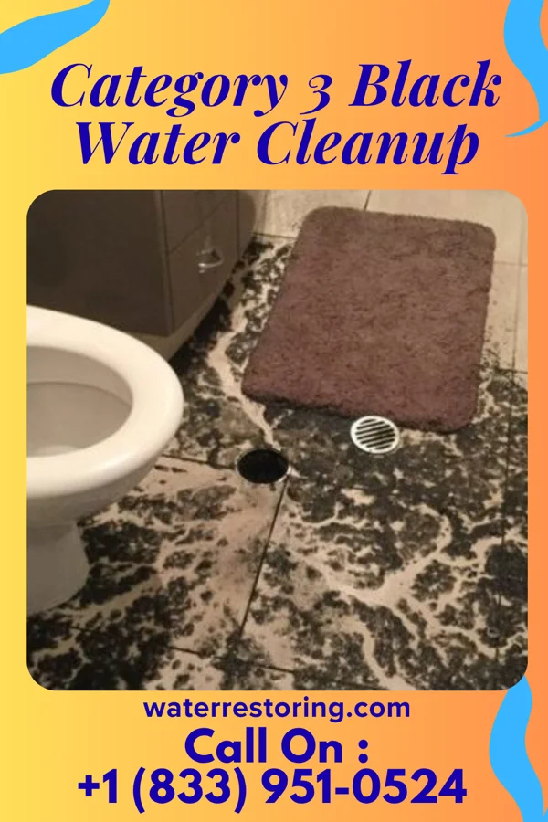 Category 3 Black Water Cleanup in Kenwood Estates, FL