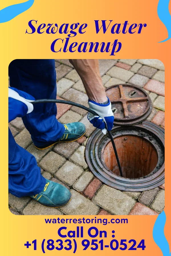 Sewage Water Cleanup in Kenwood Estates, FL